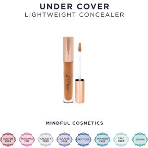 Pretty Vulgar Undercover Lightweight Concealer Shade 65: Shady Lady, New